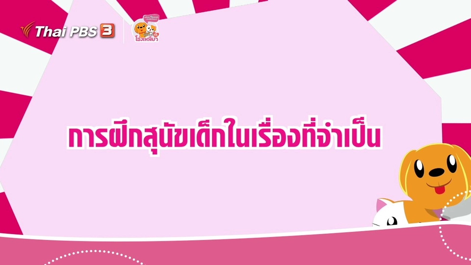 เคล็ดไม่ลับดูแลโฮ่งเหมียว : ฝึกสุนัขเด็กในเรื่องที่จำเป็น