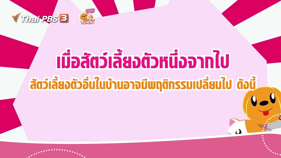 เคล็ดไม่ลับดูแลโฮ่งเหมียว : เมื่อสัตว์เลี้ยงตัวหนึ่งจากไป  สัตว์เลี้ยงตัวอื่นในบ้านอาจมีพฤติกรรมเปลี่ยนไป