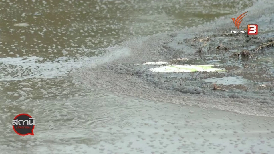 สถานีร้องเรียน : เหม็นขี้ไก่ กระทบชุมชน อ.เมือง จ.ลพบุรี