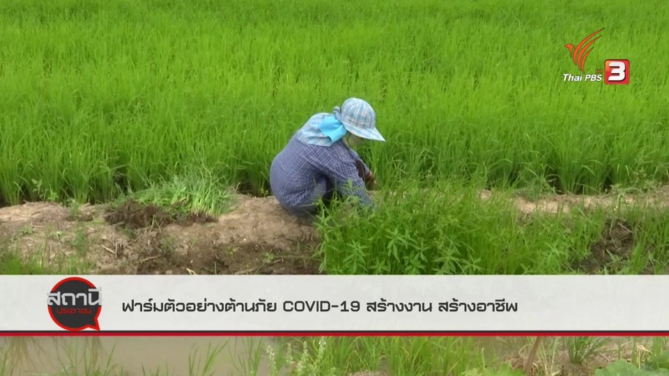 สถานีร้องเรียน : ฟาร์มตัวอย่างต้านภัย COVID-19 สร้างงาน สร้างอาชีพ จ.อ่างทอง