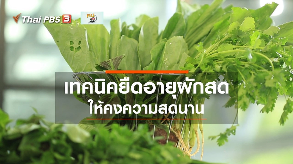 กินดี อยู่ดีกับหมอพรเทพ : เทคนิคในการยืดอายุผักสด