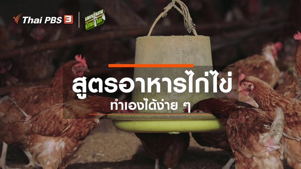 สูตรลับฉบับบ้านนา : สูตรอาหารไก่ไข่