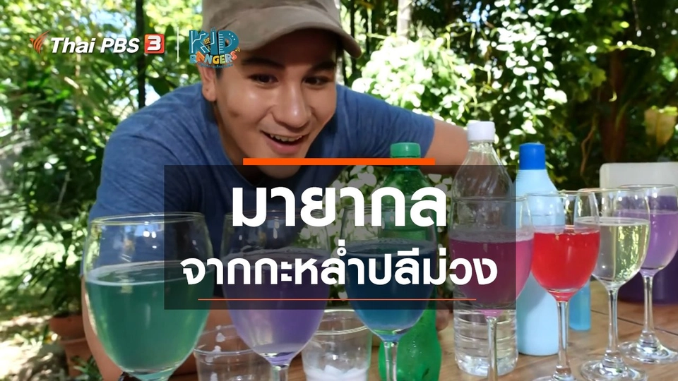 คิดส์เรียนรู้ : มายากลจากกะหล่ำปลีม่วง