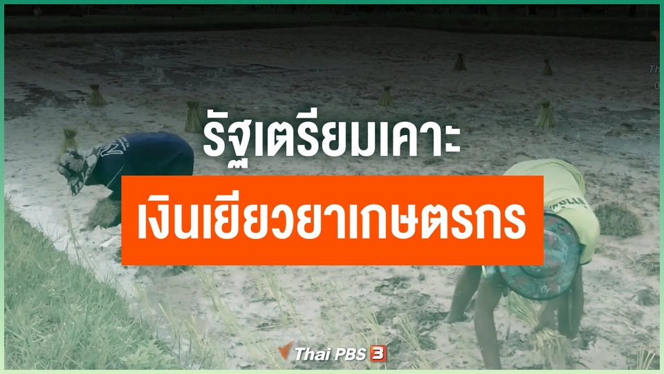 รัฐเตรียมเคาะเงินเยียวยาเกษตรกรจากโควิด-19