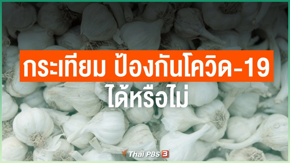 กระเทียม ป้องกันโควิด-19 ได้หรือไม่