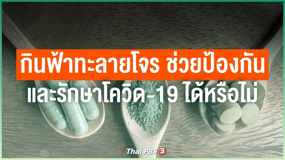 กินฟ้าทะลายโจร ช่วยป้องกันและรักษาโควิด-19 ได้หรือไม่