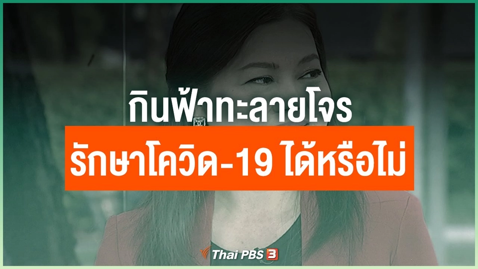 กินฟ้าทะลายโจร ช่วยป้องกันและรักษาโควิด-19 ได้หรือไม่
