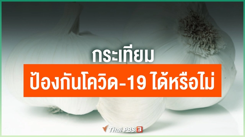 กระเทียม ป้องกันโควิด-19 ได้หรือไม่
