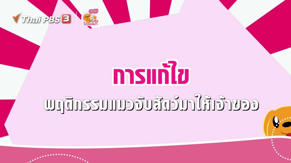 เคล็ดไม่ลับดูแลโฮ่งเหมียว : แก้ไขพฤติกรรมแมวจับสัตว์มาให้เจ้าของ