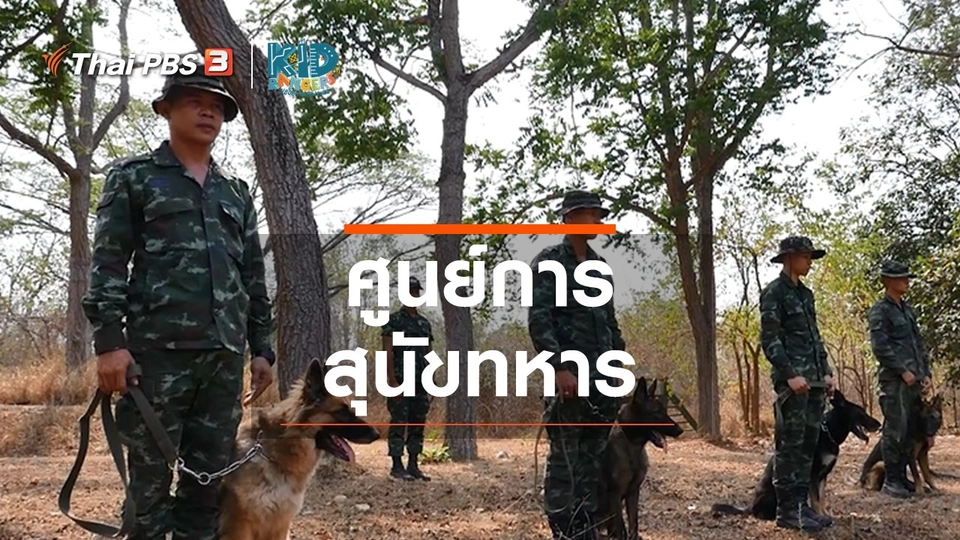 คิดส์เรียนรู้ : ศูนย์การสุนัขทหาร