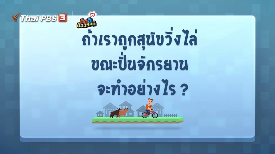 ถ้าถูกสุนัขวิ่งไล่ขณะปั่นจักรยาน จะทำอย่างไร?