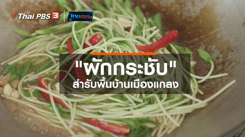 ​อิ่มมนต์รส : "ผักกระชับ" สำรับพื้นบ้านเมืองแกลง