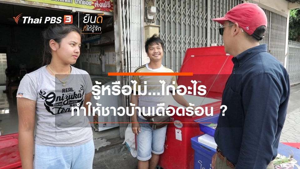 ไก่อะไรทำให้ชาวบ้านเดือดร้อน ?
