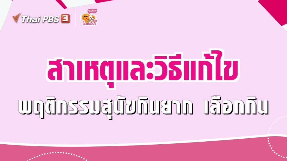 เคล็ดไม่ลับดูแลโฮ่งเหมียว : สาเหตุและวิธีแก้ไข พฤติกรรมสุนัขกินยาก เลือกกิน