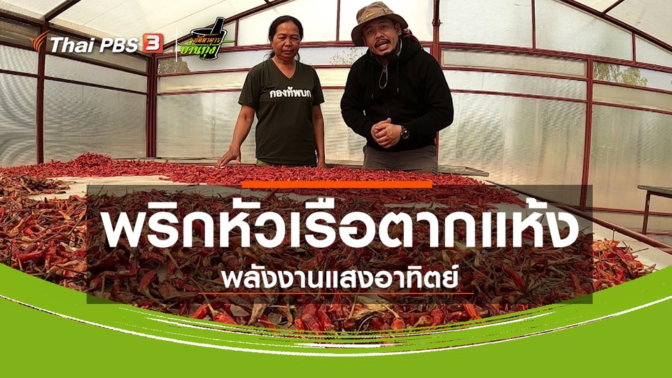 คลิปบ้านทุ่ง : พริกหัวเรือตากแห้งพลังงานแสงอาทิตย์