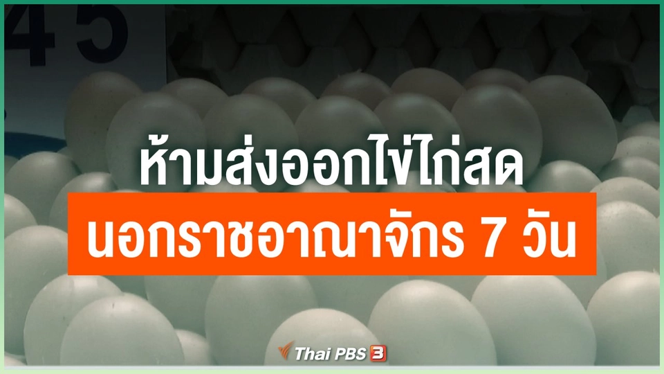 ห้ามส่งออกไข่ไก่สดออกนอกราชอาณาจักรเป็นเวลา 7 วัน