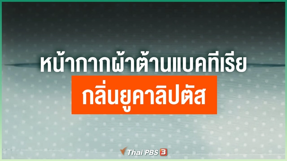 หน้ากากผ้าต้านแบคทีเรีย กลิ่นยูคาลิปตัส