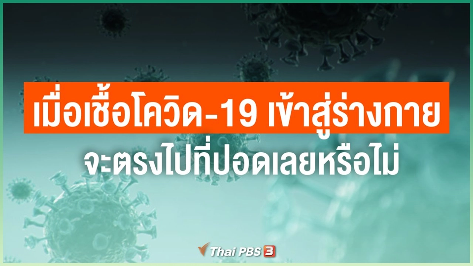 เมื่อเชื้อโควิด-19 เข้าสู่ร่างกายแล้วจะตรงไปที่ปอดเลยหรือไม่