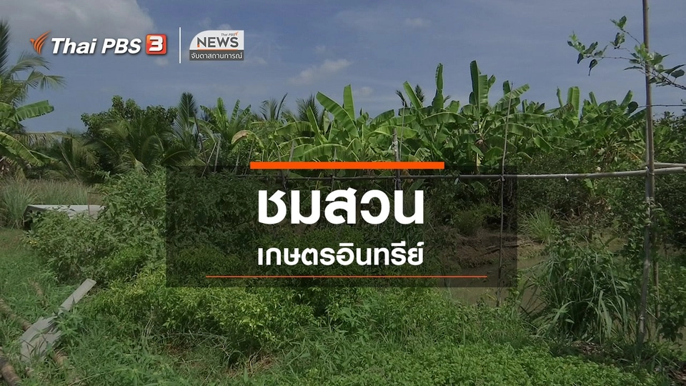 ​ตะลุยทั่วไทย : ชมสวนเกษตรอินทรีย์
