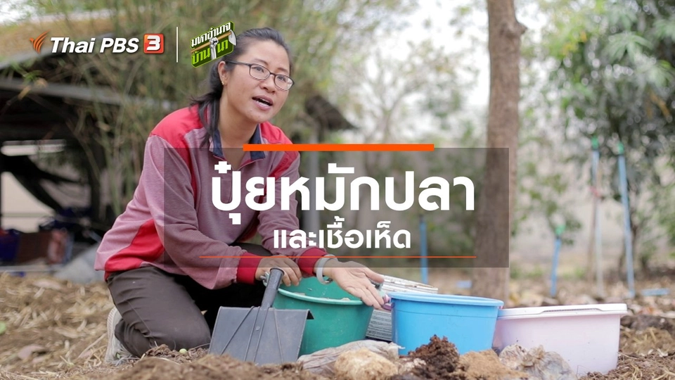 สูตรลับฉบับบ้านนา : ปุ๋ยหมักปลาและเชื้อเห็ด