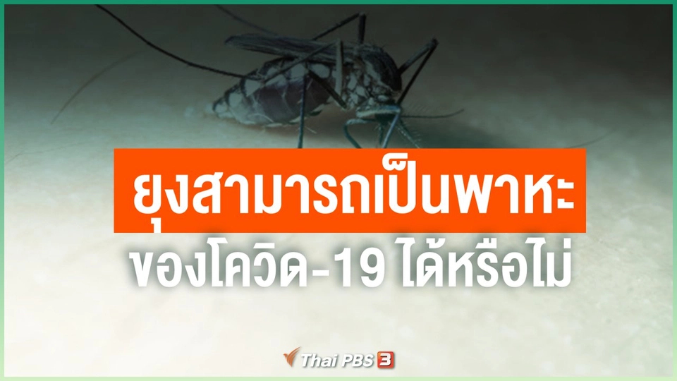 ยุงสามารถเป็นพาหะของโควิด-19 ได้หรือไม่