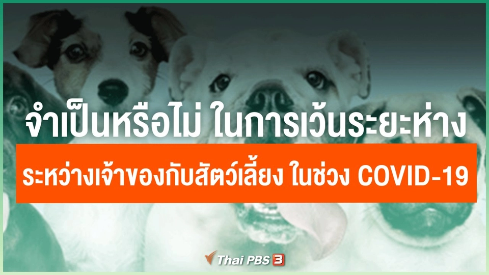 ​จำเป็นหรือไม่ ในการเว้นระยะห่างระหว่างเจ้าของกับสัตว์เลี้ยง ในช่วง COVID-19