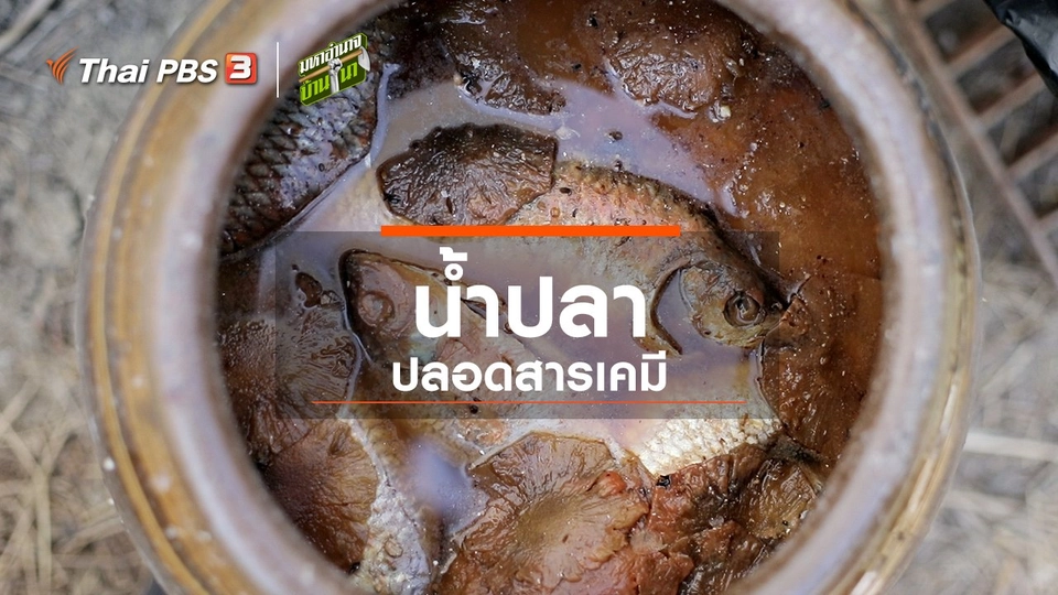 ​สูตรลับฉบับบ้านนา : น้ำปลาปลอดสารเคมี