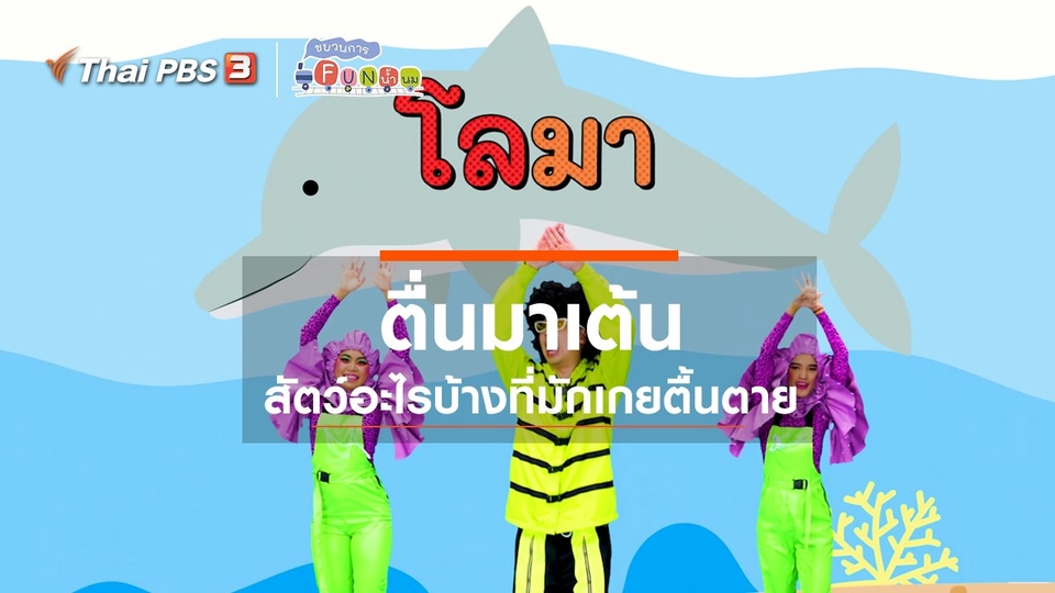 ตื่นมาเต้น : สัตว์อะไรบ้างที่มักเกยตื้นตาย