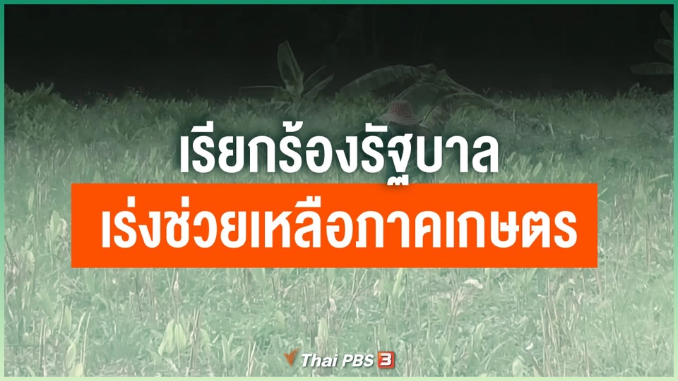 เรียกร้องรัฐบาลเร่งช่วยเหลือภาคเกษตร