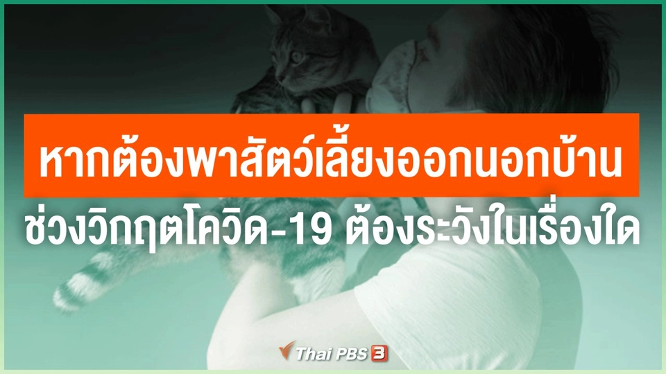 ​หากต้องพาสัตว์เลี้ยงออกนอกบ้านช่วงวิกฤตโควิด-19 ต้องระวังในเรื่องใด