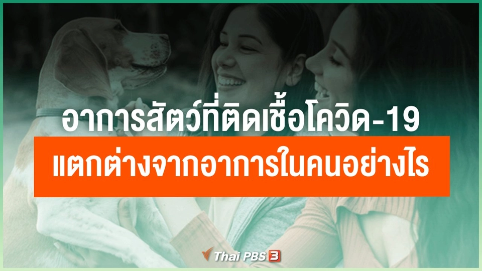 อาการสัตว์ที่ติดเชื้อโควิด-19 แตกต่างจากอาการในคนอย่างไร