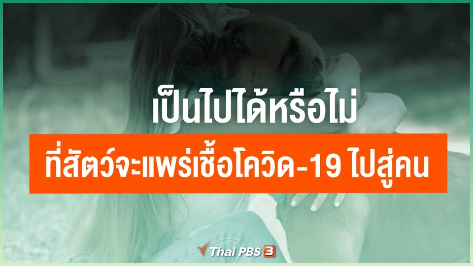 ​เป็นไปได้หรือไม่ ที่สัตว์จะแพร่เชื้อโควิด-19 ไปสู่คน