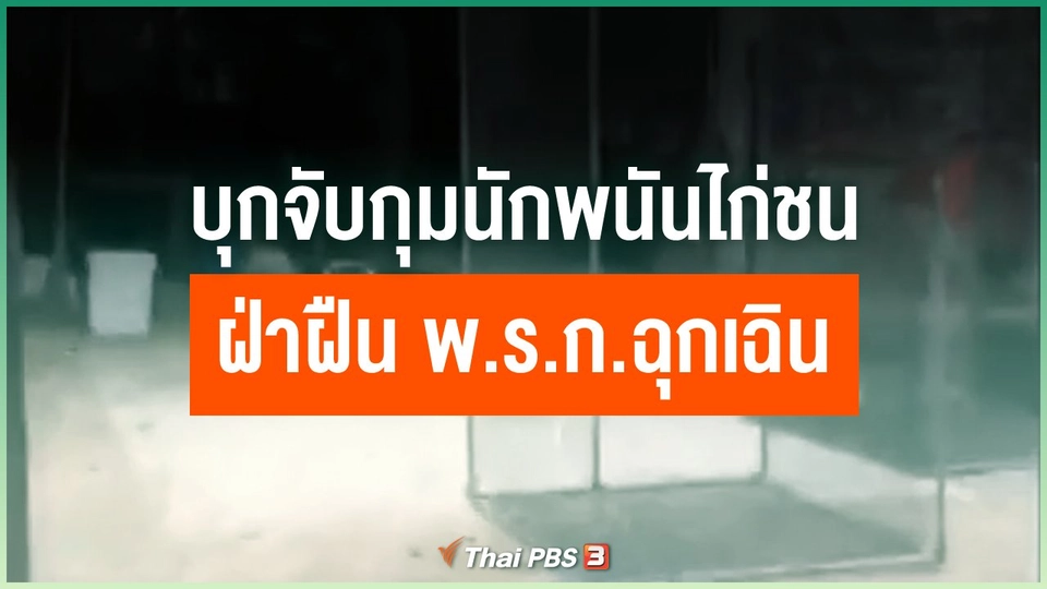 บุกจับกุมนักพนันไก่ชน 24 คน ฝ่าฝืน พ.ร.ก.ฉุกเฉิน