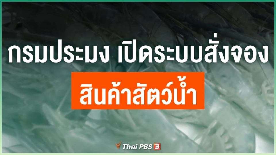 กรมประมง เปิดระบบสั่งจองสินค้าสัตว์น้ำ