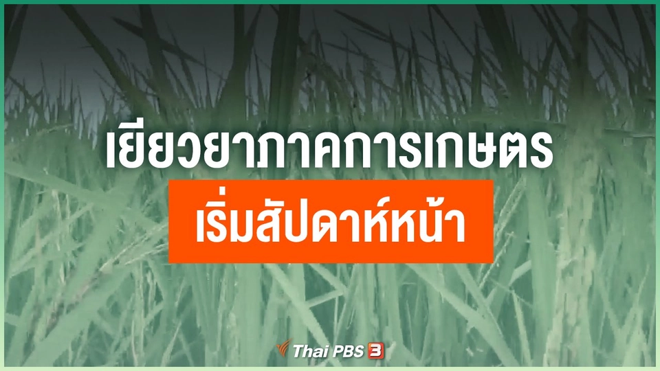 เยียวยาภาคการเกษตรเริ่มสัปดาห์หน้า
