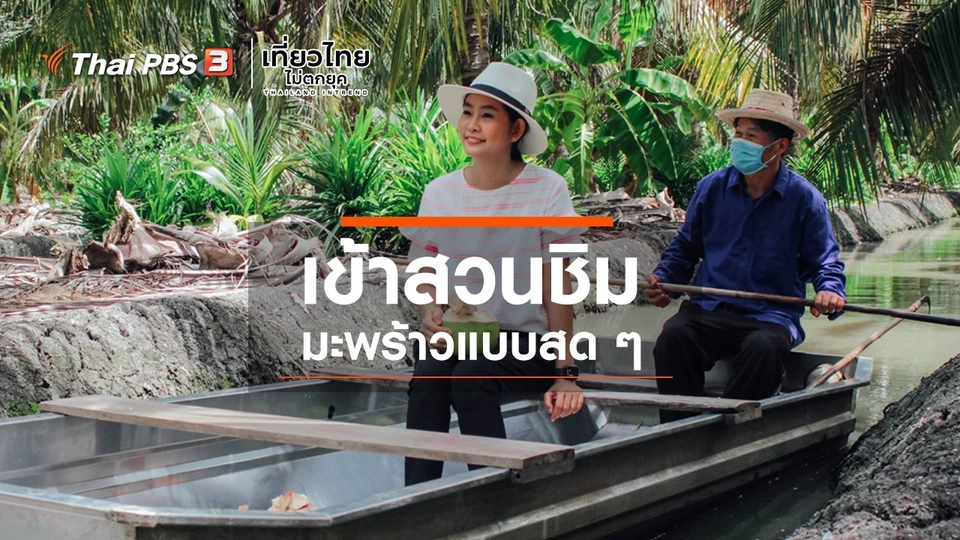 เที่ยวทั่วไทย : เข้าสวนชิมมะพร้าวแบบสด ๆ