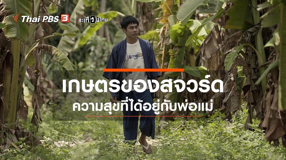 เกษตรของสจวร์ด