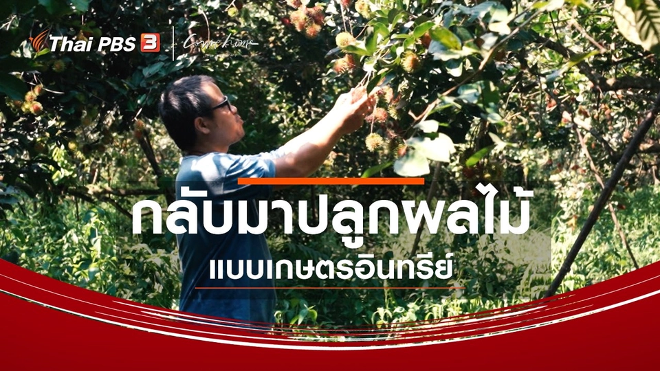 เรื่องเล่าคนกลับบ้าน : กลับมาปลูกผลไม้แบบเกษตรอินทรีย์