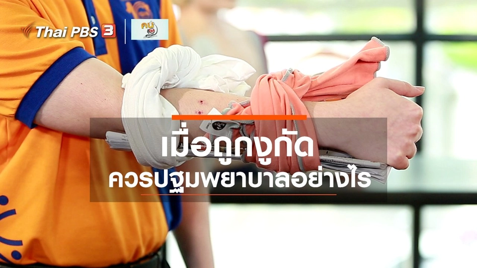 รู้สู้โรค : ปฐมพยาบาลผู้ถูกงูกัด