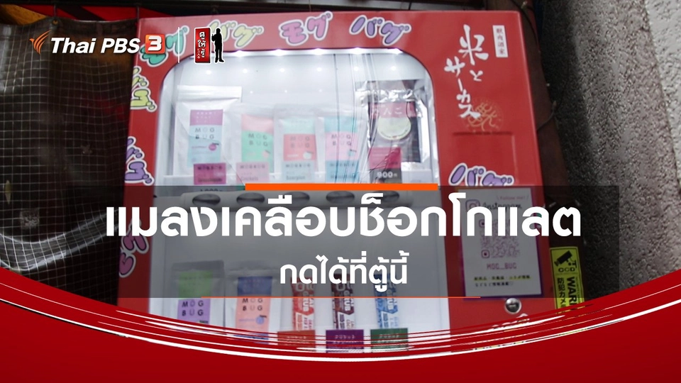 รู้ให้ลึกเรื่องญี่ปุ่น : แมลงเคลือบช็อกโกแลตกดได้ที่ตู้นี้