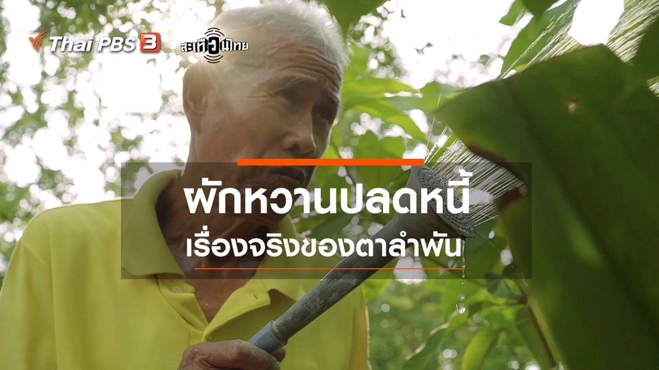 ผักหวานปลดหนี้ เรื่องจริงของตาลำพัน