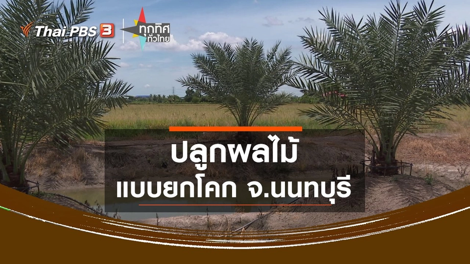 ปลูกผลไม้แบบยกโคก จ.นนทบุรี