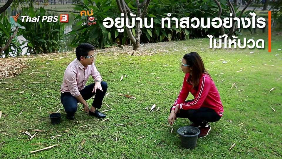 บำบัดง่าย ๆ ด้วยกายภาพ : อยู่บ้าน ทำสวนอย่างไรไม่ให้ปวด