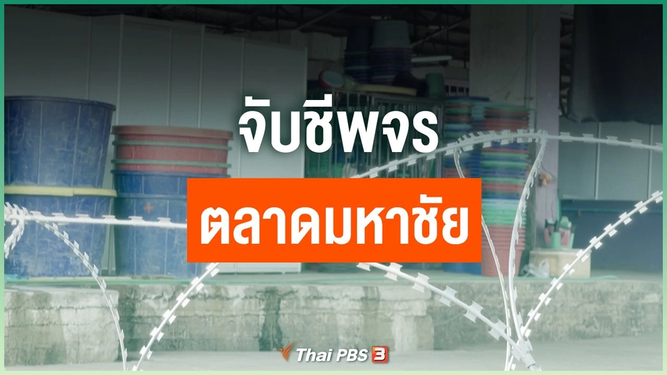 จับชีพจรตลาดมหาชัย