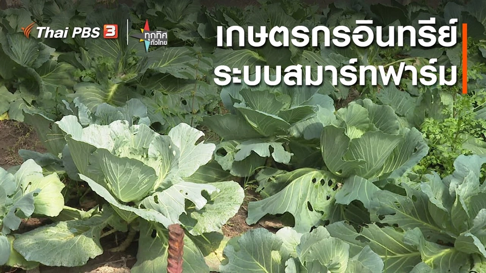 เกษตรกรอินทรีย์ระบบสมาร์ทฟาร์ม จ.ฉะเชิงเทรา