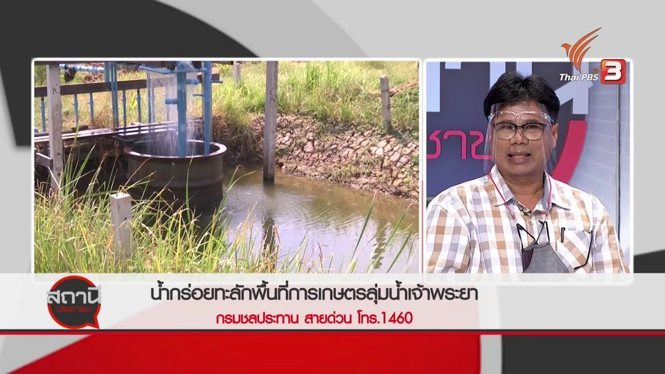 สถานีร้องเรียน : น้ำกร่อยทะลักพื้นที่การเกษตรลุ่มน้ำเจ้าพระยา
