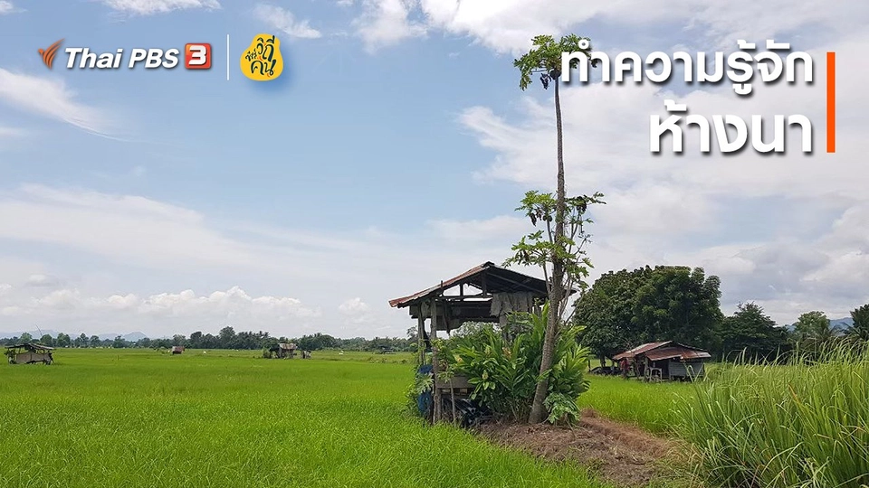 ทำความรู้จัก "ห้างนา"