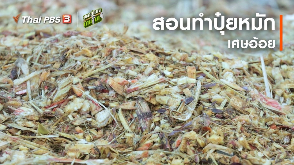 สูตรลับฉบับบ้านนา : สอนทำปุ๋ยหมักเศษอ้อย