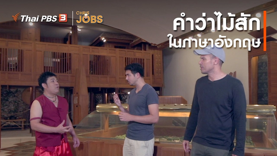 สาระน่ารู้จาก Chris Jobs : คำว่าไม้สักในภาษาอังกฤษ