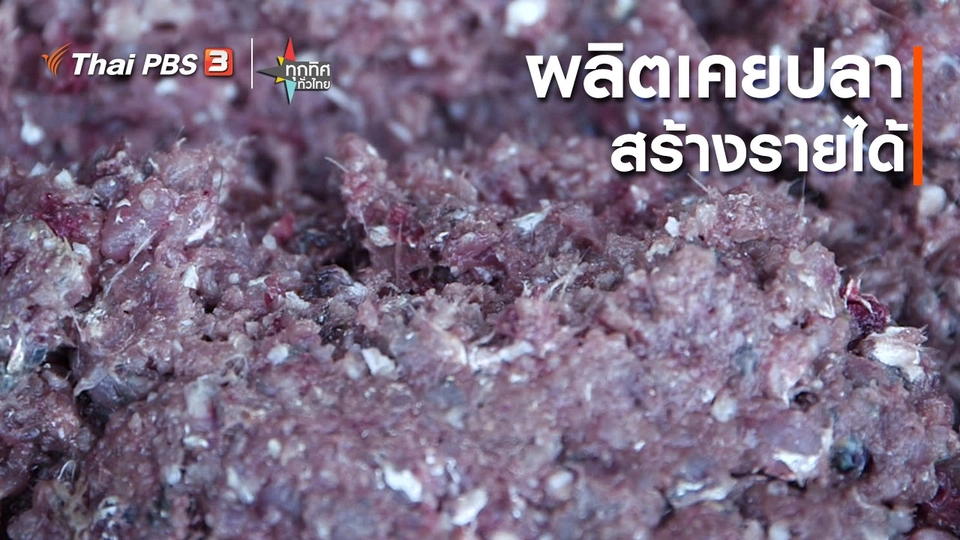 ​อาชีพทั่วไทย : ผลิตเคยปลาสร้างรายได้ จ.สุราษฎร์ธานี